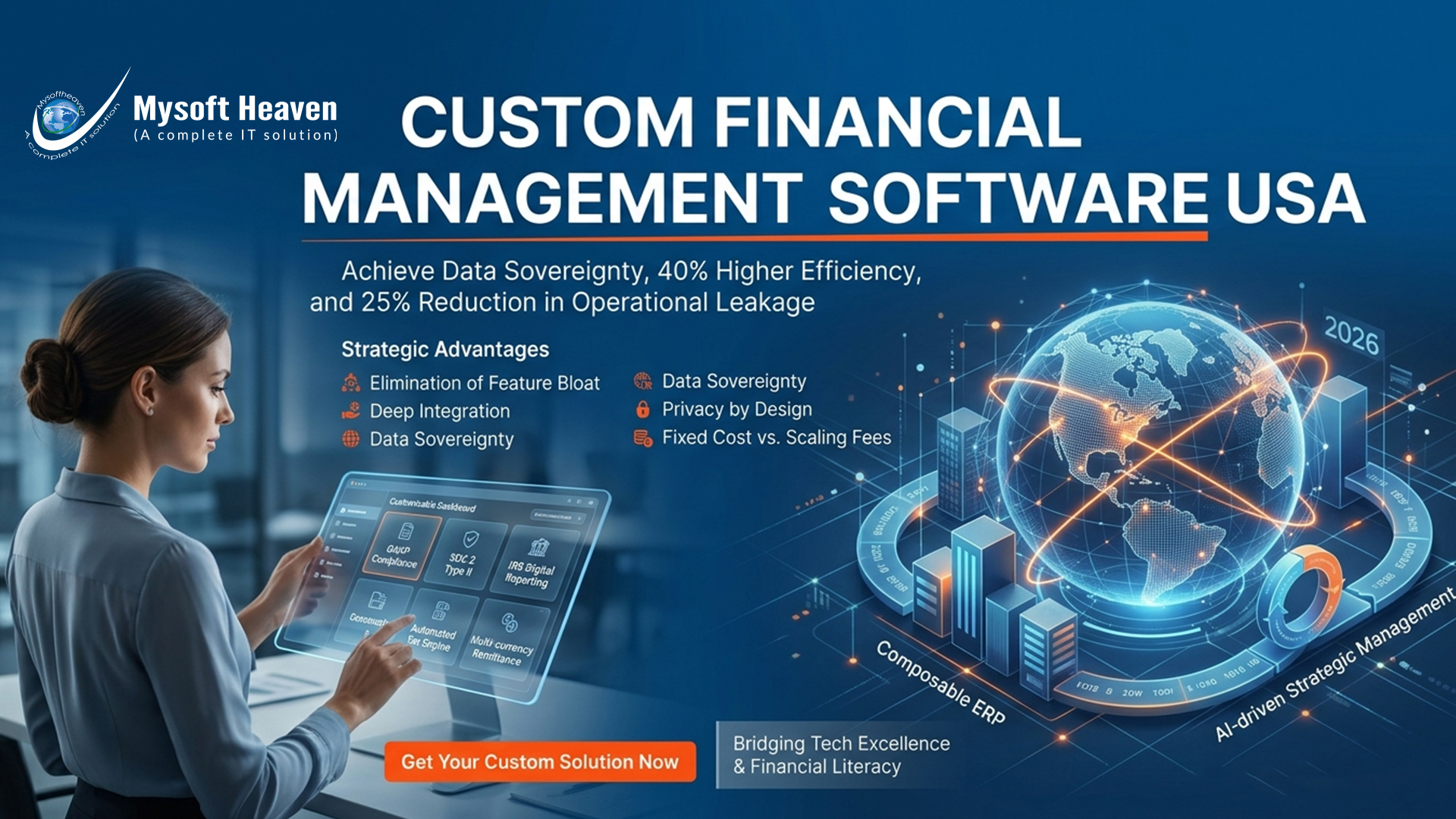 Custom financial management software USA